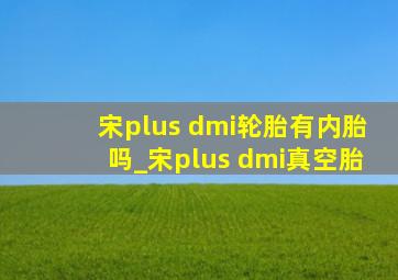 宋plus dmi轮胎有内胎吗_宋plus dmi真空胎